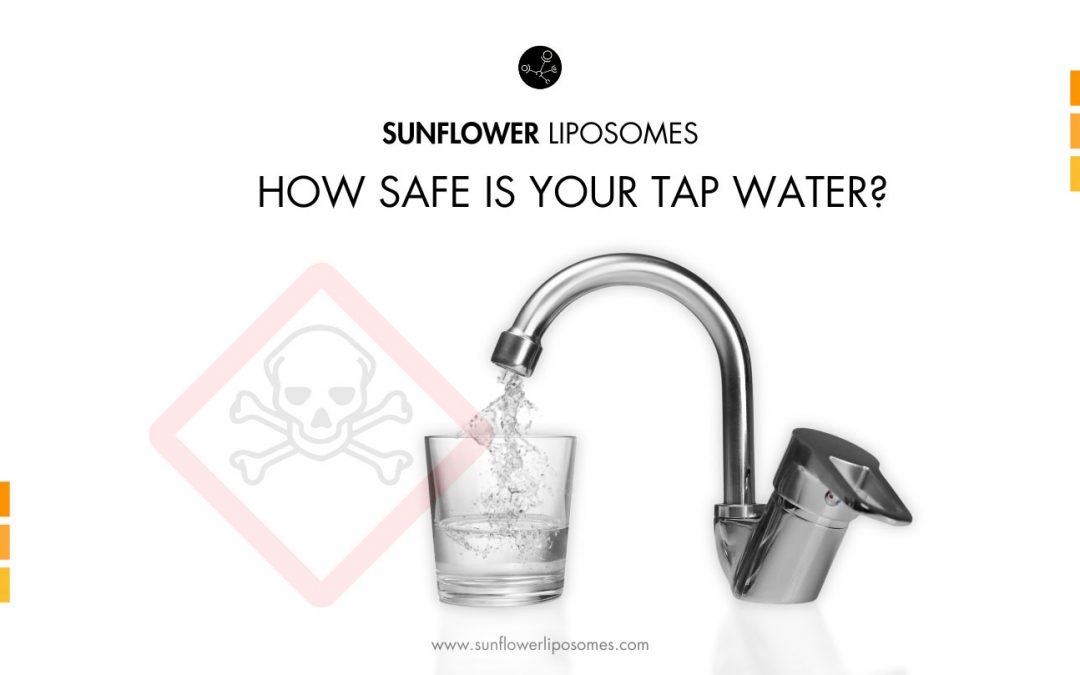 How Safe Is Your Tap Water?